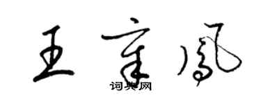 梁錦英王章鳳草書個性簽名怎么寫