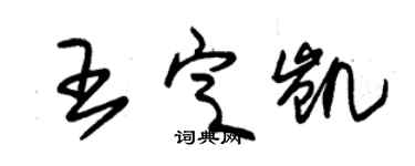 朱錫榮王定凱草書個性簽名怎么寫