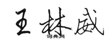 駱恆光王林威行書個性簽名怎么寫