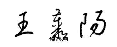 梁錦英王叢陽草書個性簽名怎么寫