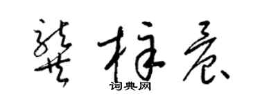 梁錦英龔梓晨草書個性簽名怎么寫