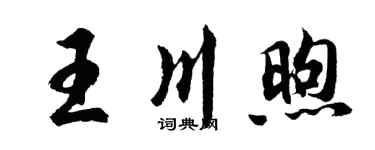 胡問遂王川煦行書個性簽名怎么寫