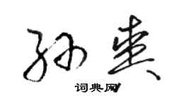 駱恆光孫爽草書個性簽名怎么寫