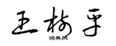 曾慶福王樹平草書個性簽名怎么寫