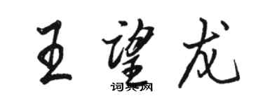 駱恆光王望龍行書個性簽名怎么寫