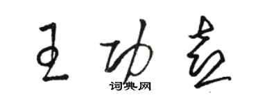 駱恆光王功喜草書個性簽名怎么寫