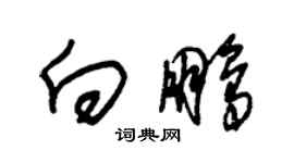 朱錫榮向鵬草書個性簽名怎么寫