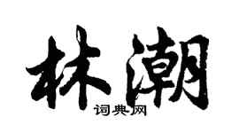 胡問遂林潮行書個性簽名怎么寫