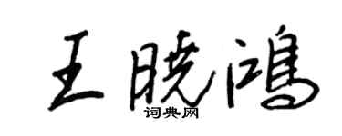 王正良王曉鴻行書個性簽名怎么寫