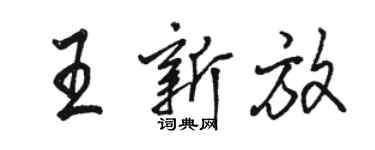 駱恆光王新放行書個性簽名怎么寫