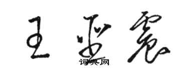 駱恆光王聖震草書個性簽名怎么寫