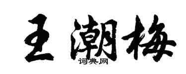胡問遂王潮梅行書個性簽名怎么寫