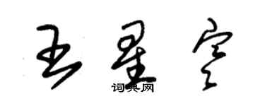 朱錫榮王星寒草書個性簽名怎么寫