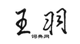 駱恆光王羽行書個性簽名怎么寫