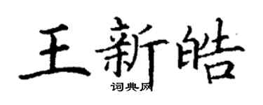 丁謙王新皓楷書個性簽名怎么寫