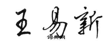 駱恆光王易新行書個性簽名怎么寫