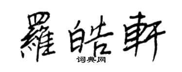 王正良羅皓軒行書個性簽名怎么寫