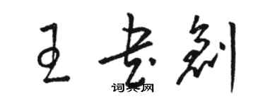 駱恆光王書創草書個性簽名怎么寫