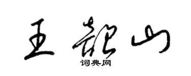 梁錦英王韶山草書個性簽名怎么寫