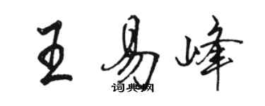 駱恆光王易峰行書個性簽名怎么寫