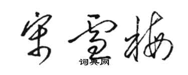 駱恆光宋雪梅草書個性簽名怎么寫