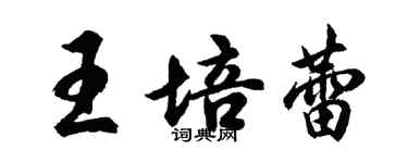 胡問遂王培蕾行書個性簽名怎么寫