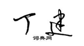 梁錦英丁建草書個性簽名怎么寫