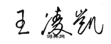 駱恆光王凌凱草書個性簽名怎么寫