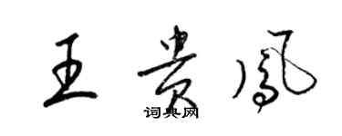 梁錦英王貴鳳草書個性簽名怎么寫