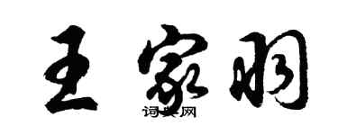 胡問遂王家羽行書個性簽名怎么寫