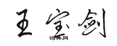 駱恆光王寶劍行書個性簽名怎么寫