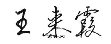 駱恆光王來霞行書個性簽名怎么寫