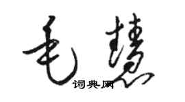 駱恆光毛慧草書個性簽名怎么寫