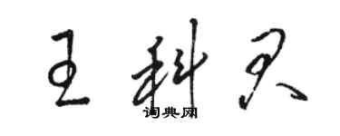 駱恆光王科君草書個性簽名怎么寫