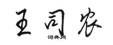 駱恆光王司農行書個性簽名怎么寫