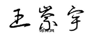 曾慶福王崇宇草書個性簽名怎么寫