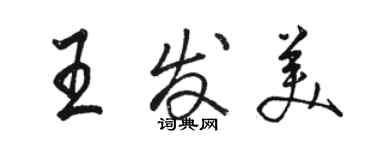 駱恆光王發美行書個性簽名怎么寫