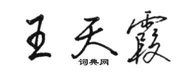 駱恆光王天霞行書個性簽名怎么寫