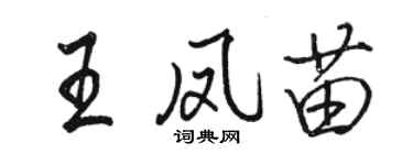 駱恆光王鳳苗行書個性簽名怎么寫
