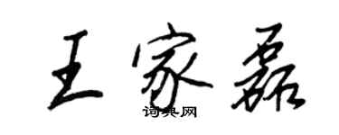 王正良王家磊行書個性簽名怎么寫