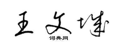 梁錦英王文城草書個性簽名怎么寫