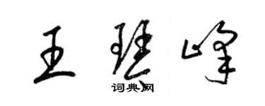 梁錦英王琴峰草書個性簽名怎么寫