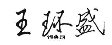 駱恆光王環盛行書個性簽名怎么寫
