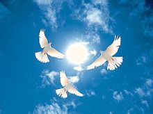 關於理想的作文 理想作文專題