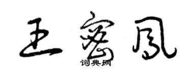 曾慶福王密鳳草書個性簽名怎么寫