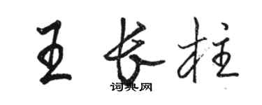 駱恆光王長柱行書個性簽名怎么寫