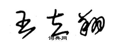 朱錫榮王立翔草書個性簽名怎么寫