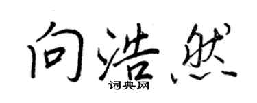 王正良向浩然行書個性簽名怎么寫