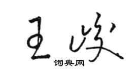 駱恆光王峻草書個性簽名怎么寫