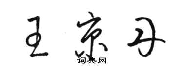 駱恆光王京丹草書個性簽名怎么寫